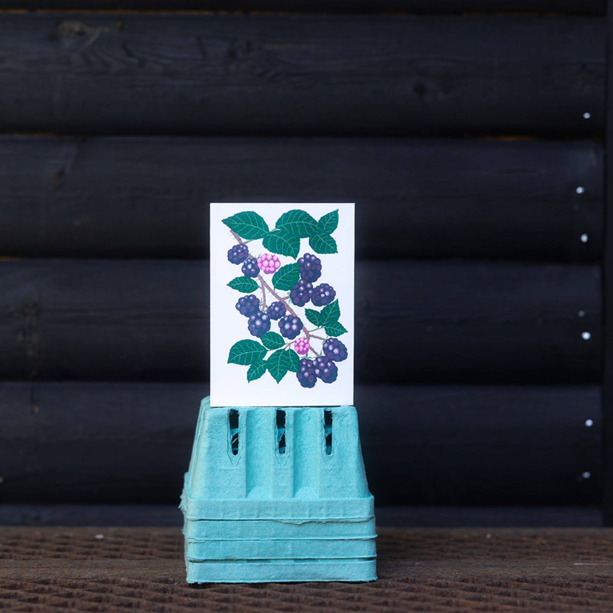 Petra Boase Grow Cards Blackberry