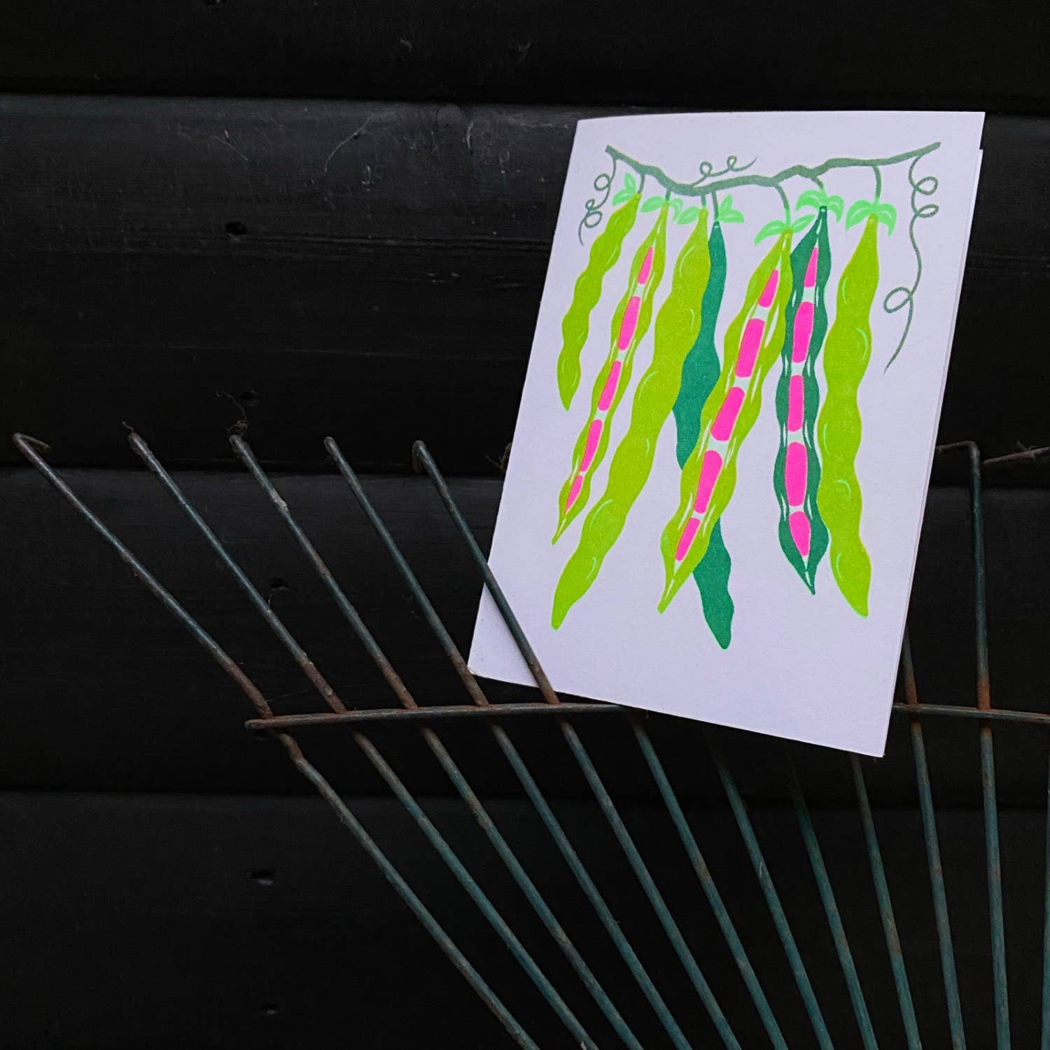 Petra Boase Grow Cards Beans