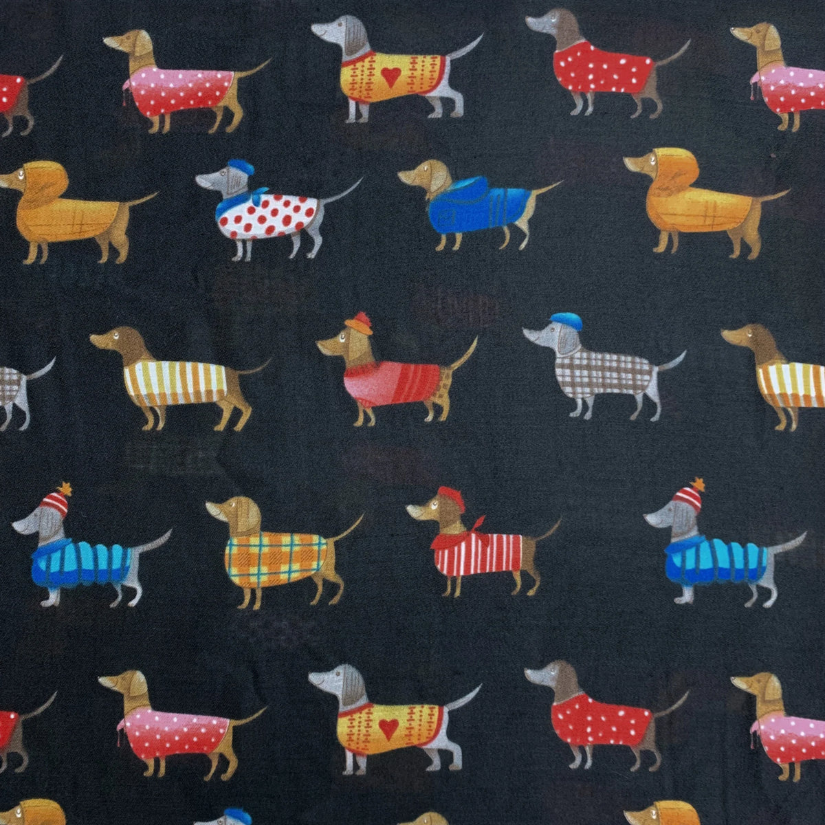 Precious Sausage Dogs Cotton Blend Scarf