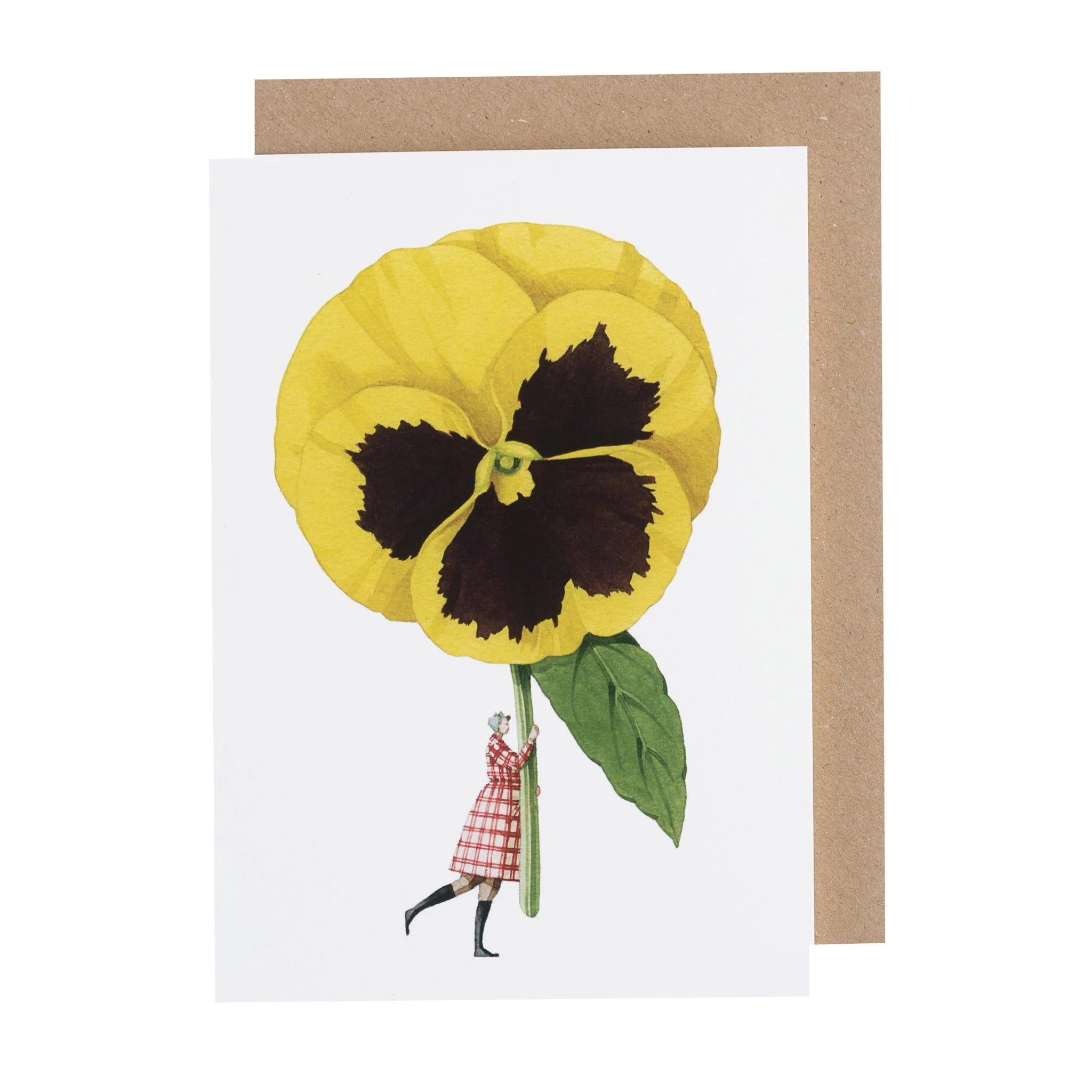 Laura Stoddart Pansy Greetings Card