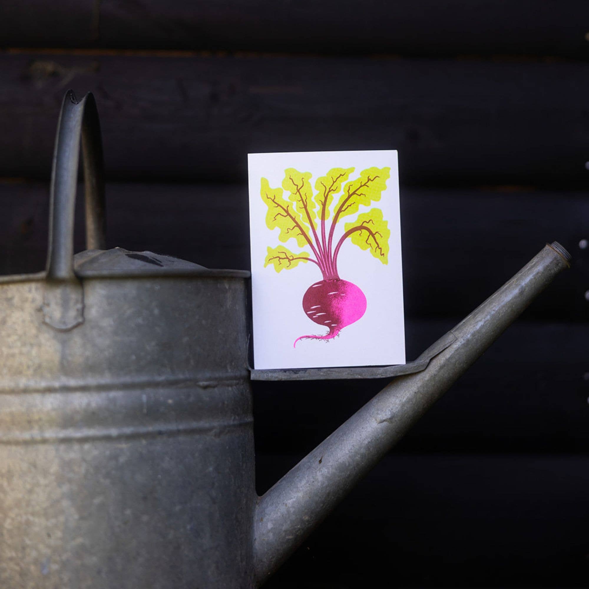 Petra Boase Beetroot Greetings Card