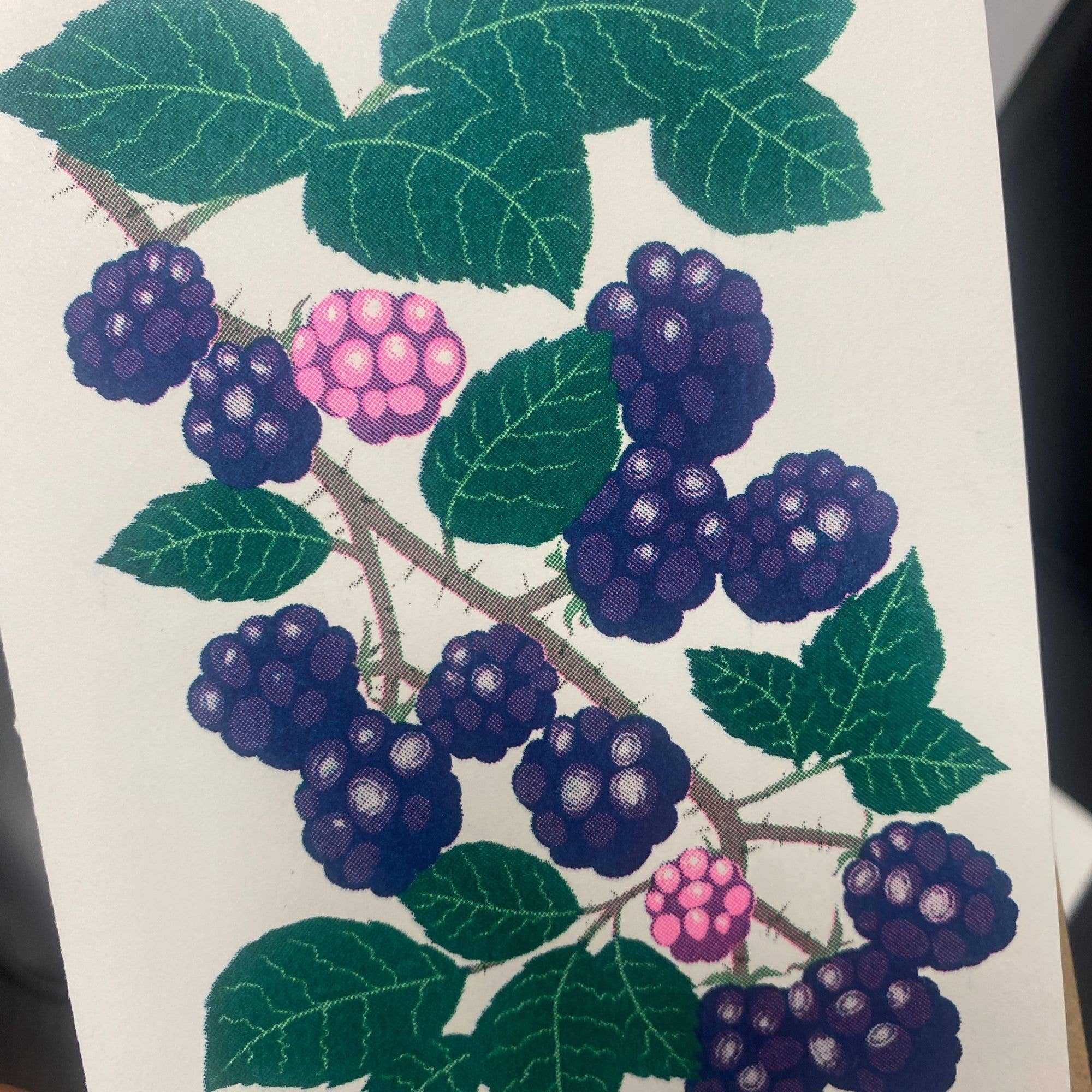 Petra Boase Grow Cards Blackberry