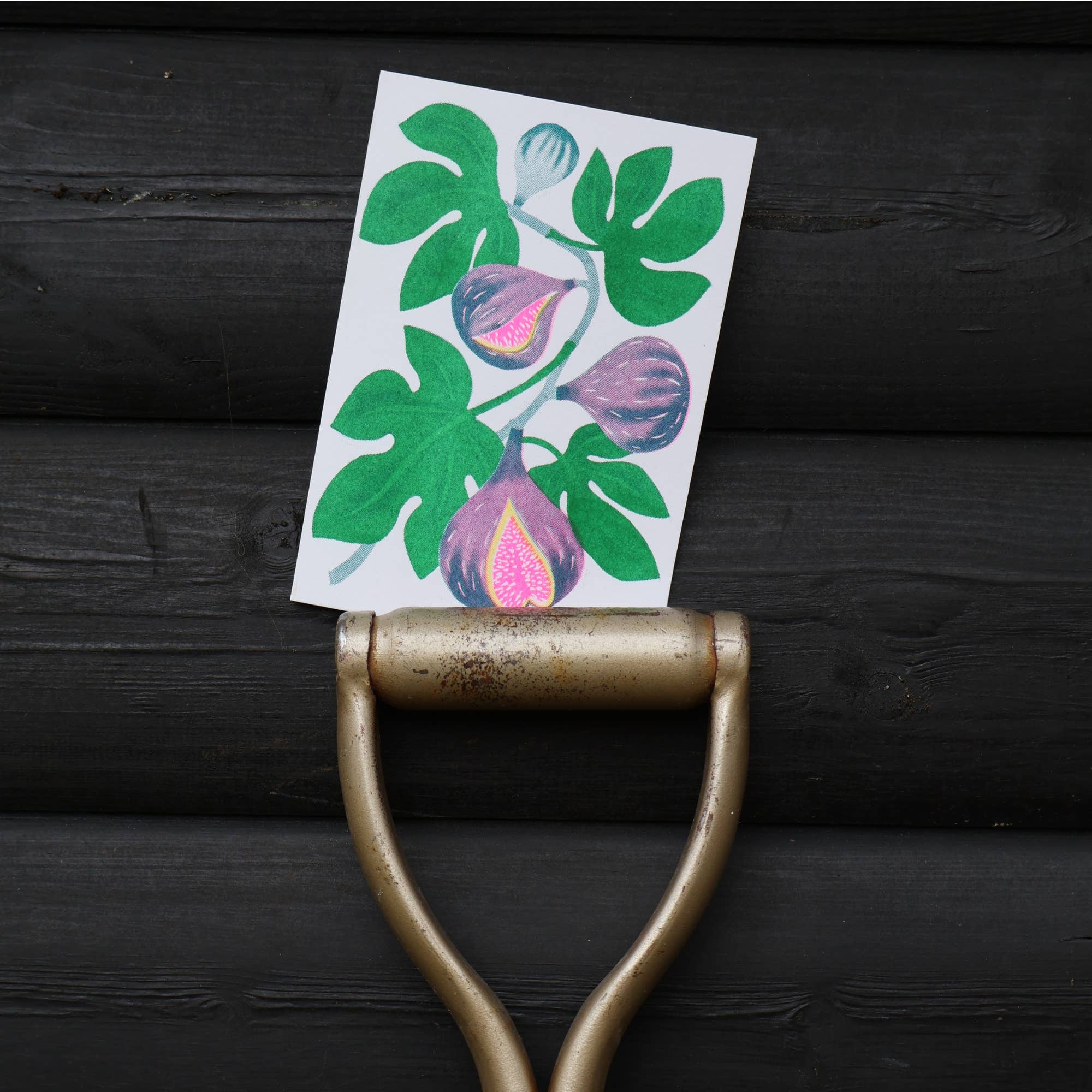 Petra Boase Fig Greetings Card