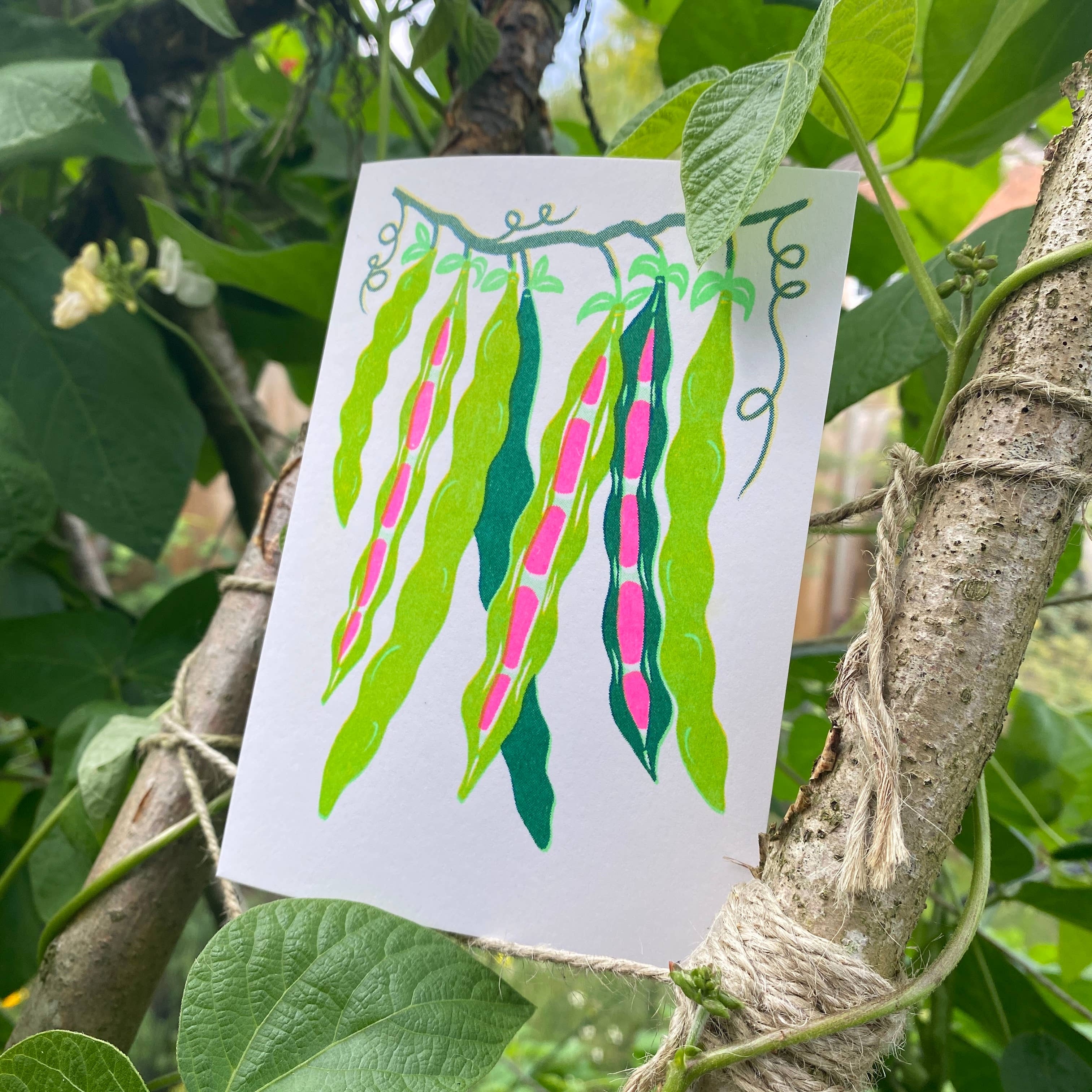 Petra Boase Grow Cards Beans