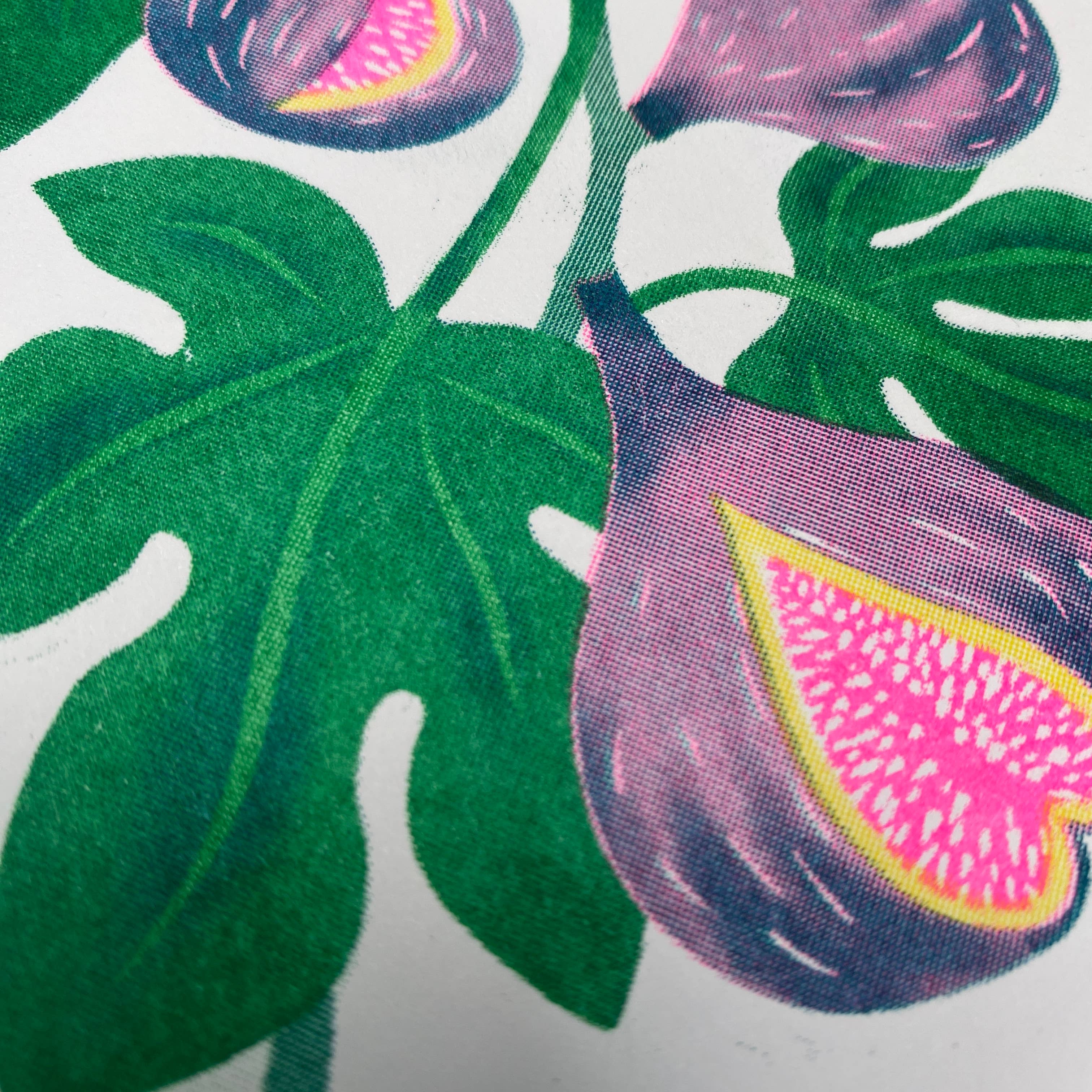 Petra Boase Fig Greetings Card