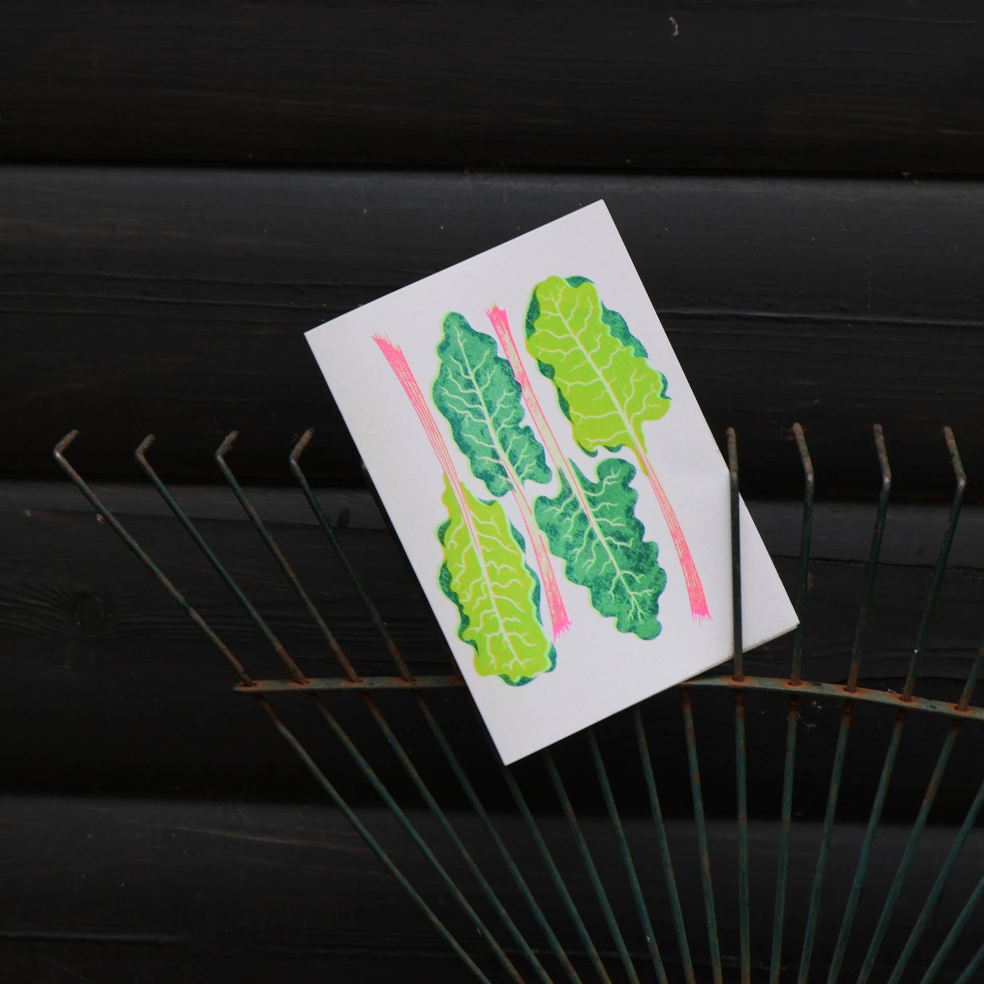 Petra Boase Grow Cards Chard