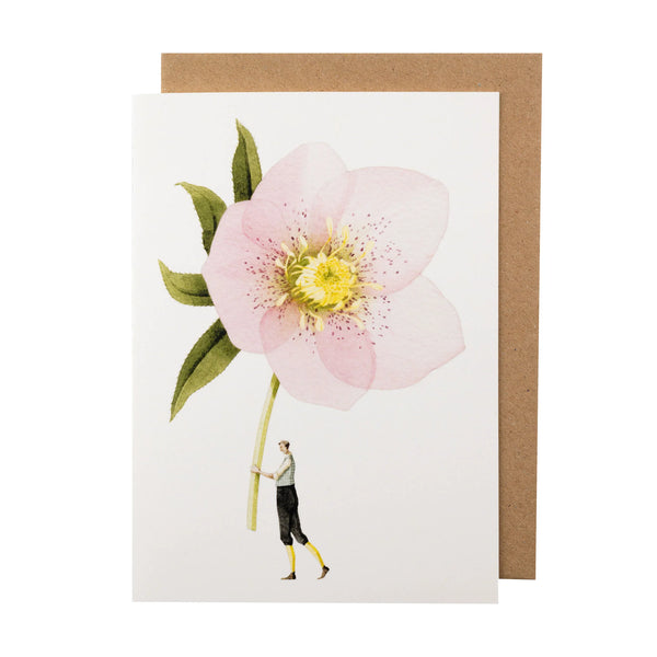Laura Stoddart Pink Hellebore Greetings Card