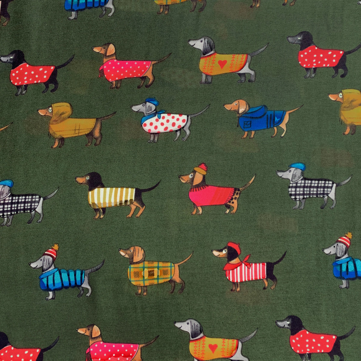 Precious Sausage Dogs Cotton Blend Scarf