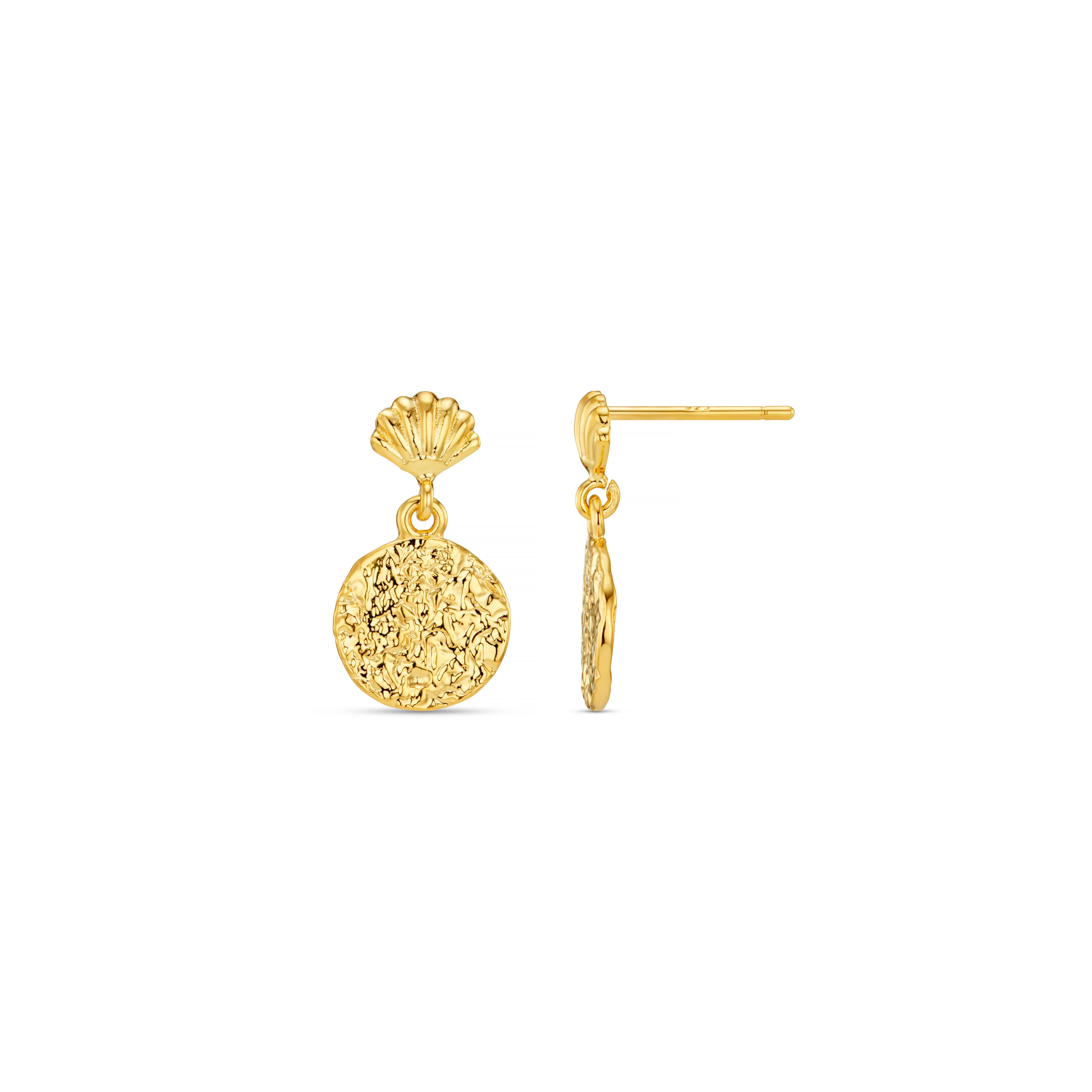 Orelia Mini Shell & Molten Coin Earrings
