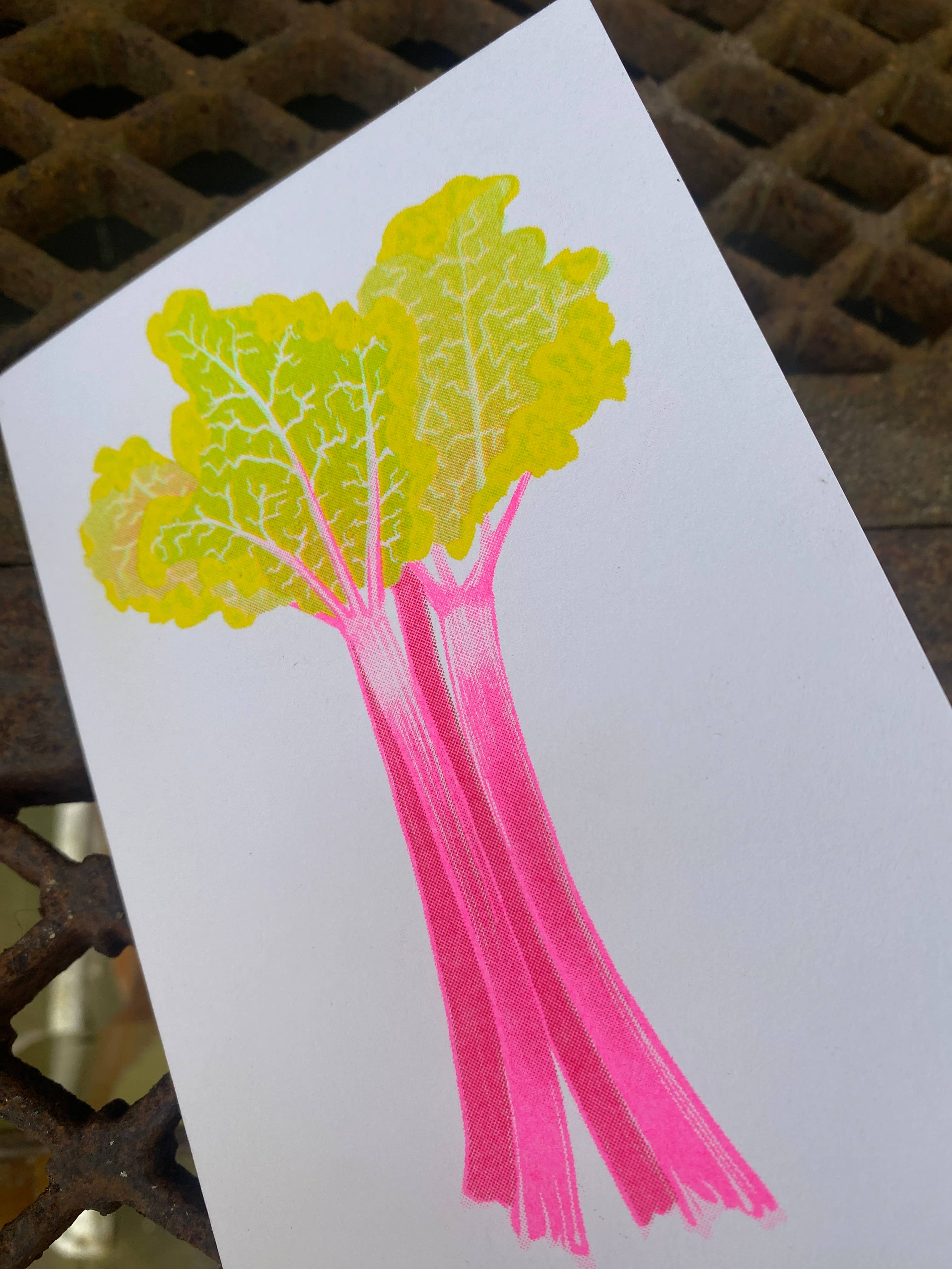 Petra Boase Rhubarb Greetings Card