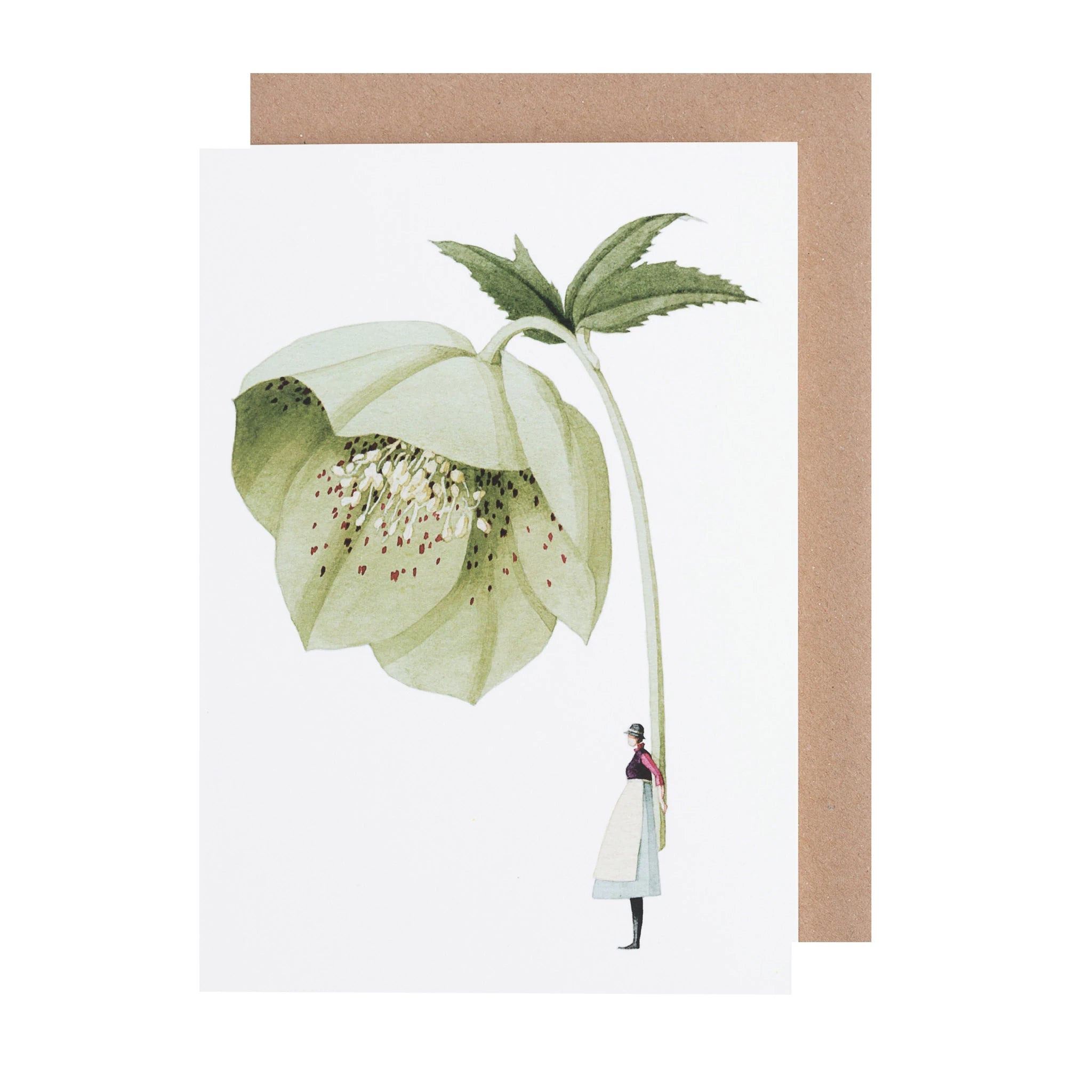 Laura Stoddart Hellebore Greetings Card