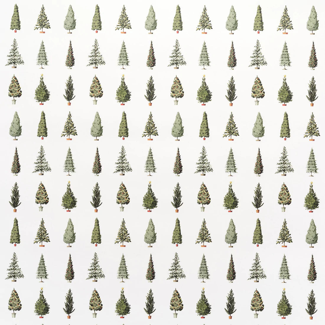 Laura Stoddart Christmas Tree Giftwrap