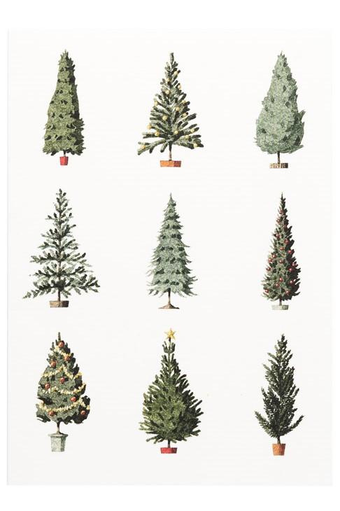 Laura Stoddart Christmas Tree Christmas Card Pack